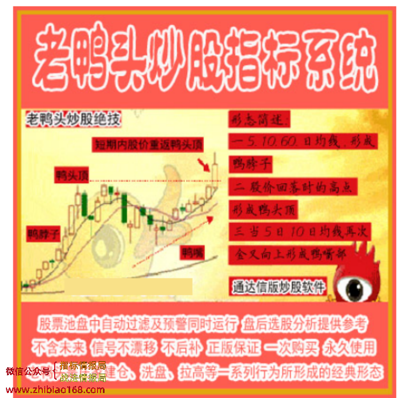 153242yr2vxxvx8za1bxsp.png