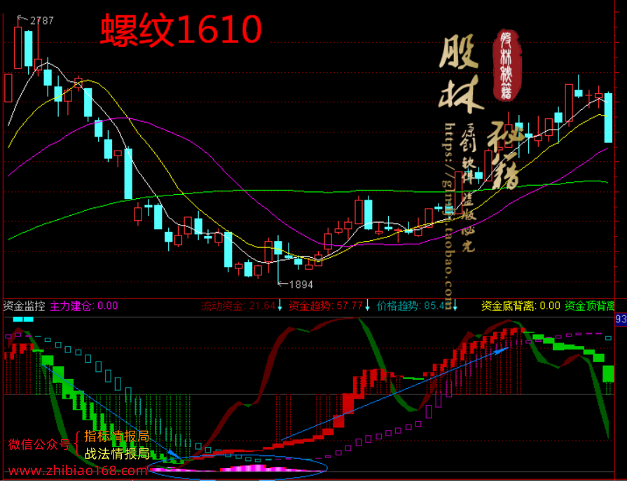 120605zygos2r22muxo2x2.png